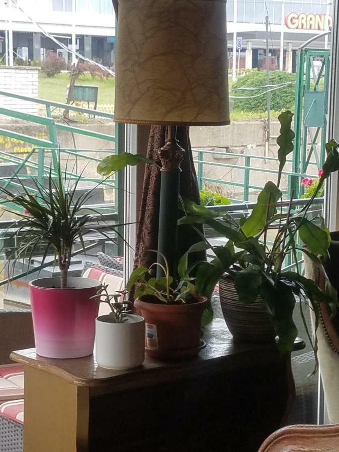 Hostel Otard Belgrad Dış mekan fotoğraf